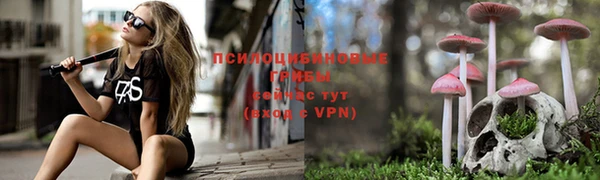 mix Иннополис
